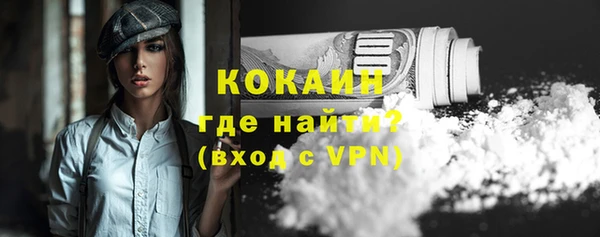 винт Бикин