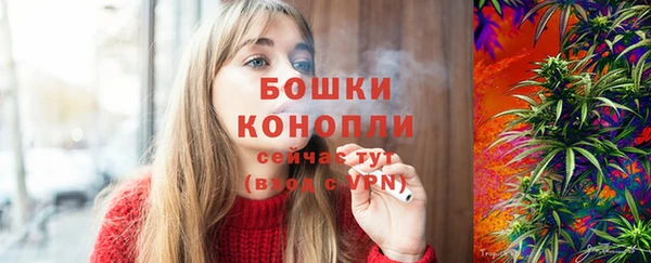 винт Бикин
