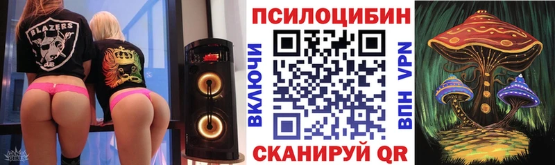 где можно купить   Соль-Илецк  omg как зайти  Псилоцибиновые грибы Psilocybine cubensis 