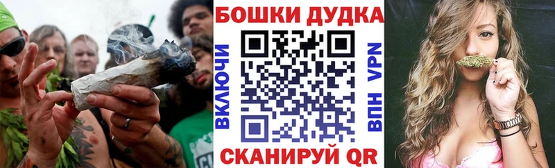 Шишки марихуана семена  darknet какой сайт  Соль-Илецк 